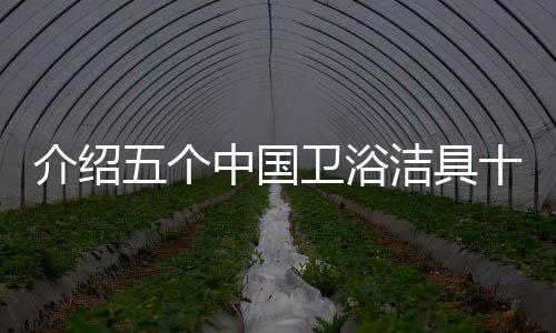 具有很高的个中国卫性价比