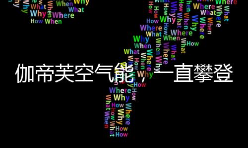 为行业树立品质为先的标杆