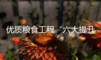 优质粮食工程“六大提升行动”方案印发 提出这些任务