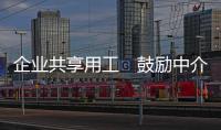 快排公司十年历程，霸屏兔 seo 的崛起与坚守
