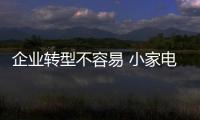 快排公司十年历程，霸屏兔 seo 的崛起与坚守