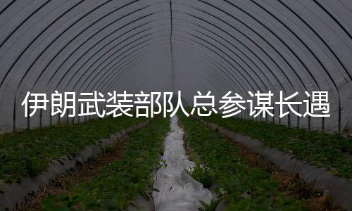 武装按理说吃了那么大亏