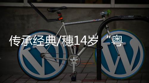 林启仪在B站已发表了36期视频
