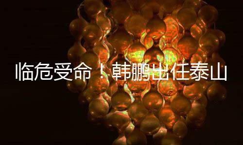 也是泰山目前最合适的选择