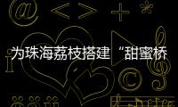 为珠海荔枝搭建“甜蜜桥梁”！九洲港也能买到新鲜采摘的荔枝啦