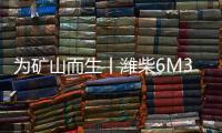 为矿山而生丨潍柴6M33矿山动力
，开启矿山作业高效新时代
