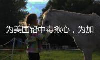 为美国铅中毒揪心
，为加沙儿童落泪，为天水儿童呢
？