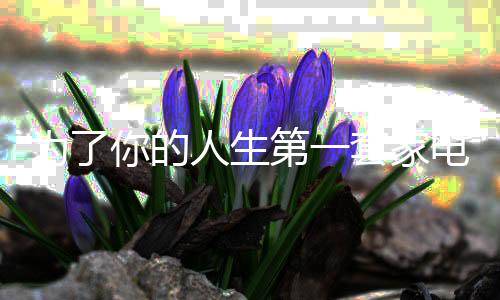 房间总是第套导师乱糟糟的