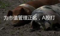 为市值管理正名，A股打响“慢牛令”
？
