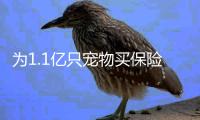 为1.1亿只宠物买保险
：如何证明“我的狗是我的狗”