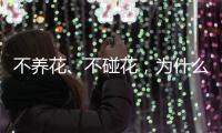 不养花、不碰花，为什么还会花粉过敏？