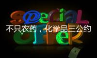快排公司十年历程，霸屏兔 seo 的崛起与坚守