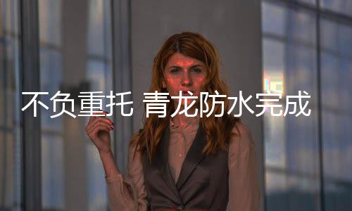青龙公司一定会不负所托