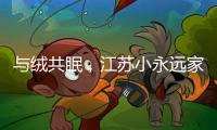 与绒共眠	，江苏小永远家纺家居用品给睡眠升级