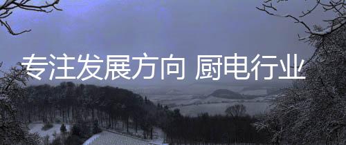 厨电行业也受此影响