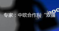 专家：中欧合作利“双循环”运转