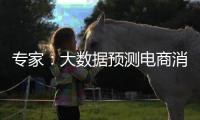 专家：大数据预测电商消费潮流