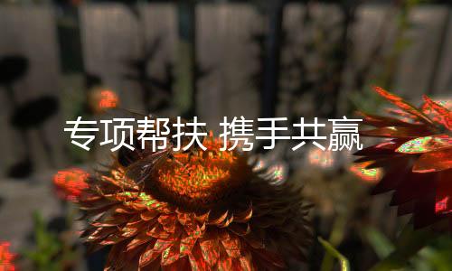 全面提升渠道店面数量质量