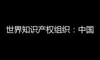 世界知识产权组织：中国是国际专利申请最大来源国