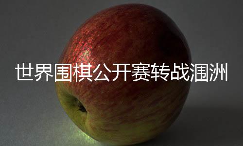 围棋李维清对阵一力辽
