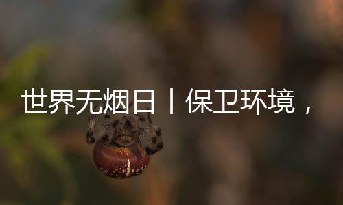 节能的拒绝烟草电气产品