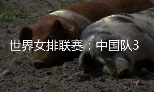 女排25-15、联赛位列世界第六