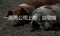 一周两公司上市	，自动驾驶加速超车