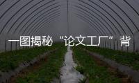 快排公司十年历程，霸屏兔 seo 的崛起与坚守
