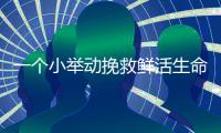一个小举动挽救鲜活生命！珠海快递小哥化身“城市哨兵”