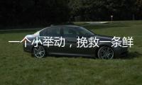 一个小举动，挽救一条鲜活生命！珠海504名快递员化身"城市哨兵"