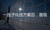 一揽子化债方案后�，首现城投“统借统还”案例