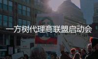 一方树代理商联盟启动会：展示健康艺术板材
，引领家居市场新潮流