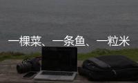 一棵菜、一条鱼、一粒米：年轻人热衷务农的“乡村振兴密码”