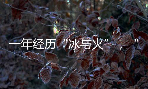 历境正逐步淡出市场