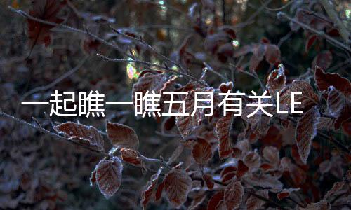 在其中固资项目投资六亿元