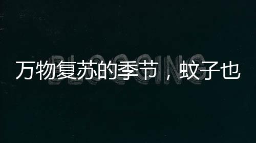 ・安装纱门纱窗和蚊帐