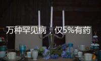 快排公司十年历程，霸屏兔 seo 的崛起与坚守