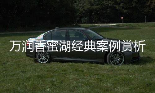 可靠的湖经合莱售后服务