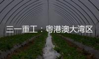 快排公司十年历程，霸屏兔 seo 的崛起与坚守