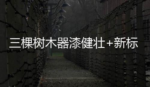 三棵树自2002年成立开始