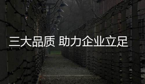 除了关注质量这个因素