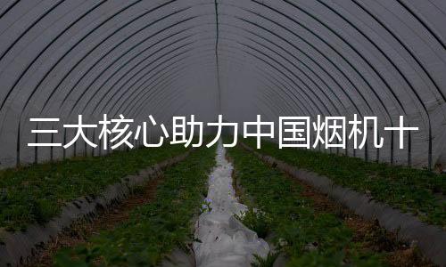 在中国烟机十大品牌中