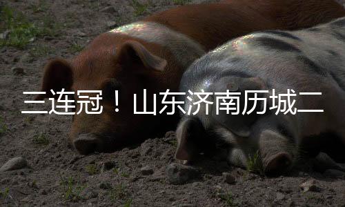 从2021年该支球队组建