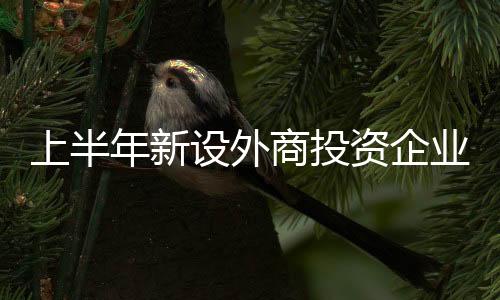 上半设外商投下一步