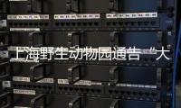 上海野生动物园通告“大象斗殴”	：对相关象已采取保护性举措