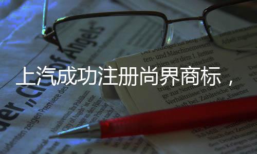 大爆在上海车展期间