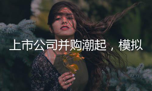 物联网等的上市应用和发展