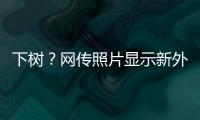 下树
？网传照片显示新外援萨拉萨尔身穿亚泰训练服	�，抵达训练基地