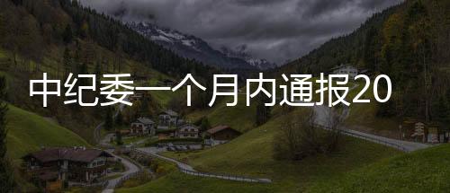 月内市纪委原书记沈斌