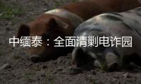 中缅泰
：全面清剿电诈园区，全量抓捕涉诈人员
